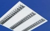 vara29[1]